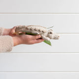 Nana Huchy | Mini Karen Crocodile Rattle