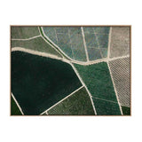 Field of Dreams - Canvas Art Print - 160x120cm