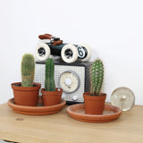 Playforever | Midi Rufus - Weller