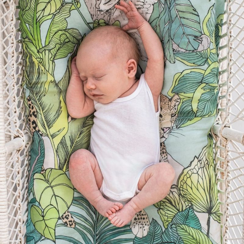 Fisher store price swaddle