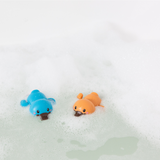 Tiger Tribe | Bath Racers - Platypuses