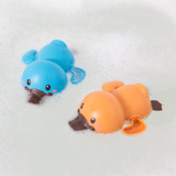 Tiger Tribe | Bath Racers - Platypuses