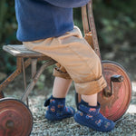 Slide image