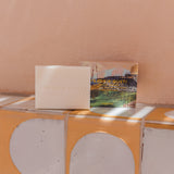 Frankie Gusti | Artist Series Hand + Body Bar - Golden Hour