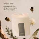 al.ive | Soy Candle - Willow Gum & Lemon Myrtle