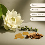 al.ive | Soy Candle - Green Pepper & Lotus