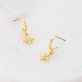 Zafino | Ella Earring - Gold