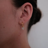 Zafino | Ivy Mini Drop Earring - Gold