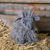 Nana Huchy | Aiden the Angora Goat