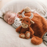 Rattle - Henry the Highland Cow