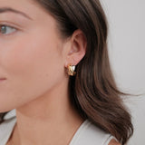 Zafino | Freya Hoop - Gold/Silver