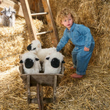 Nana Huchy | Valentina the Valais Sheep