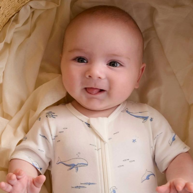 Purebaby | 2 Pack Short Zip Growsuit - Vanilla Nautical
