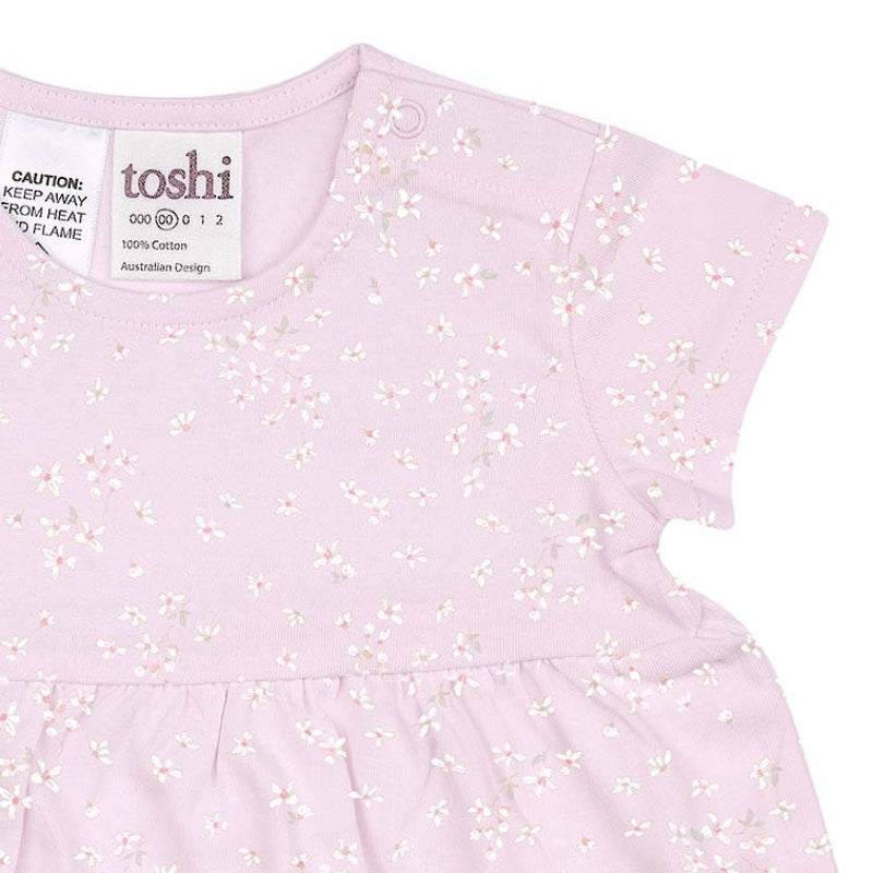 Toshi | Knit Dress Classic Short Sleeve - Nina Lavender