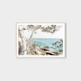 Coastal Gum - 122x87cm