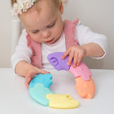 Jellystone Designs | Colour Wheel - Pastel
