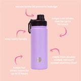 Annabel Trends | Watermate Drink Bottle 550ml - Midnight Blooms