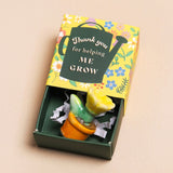 Lisa Angel | Tiny Matchbox Ceramic Token - Plant Pot