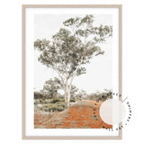 Gums of Gunabooka I Framed Print 84x119cm