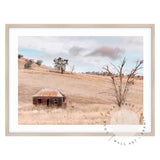 Old House in Rural Australia Framed Print 100x70cm