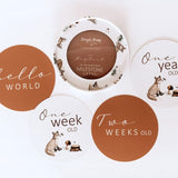 Fox Reversible Milestone Cards