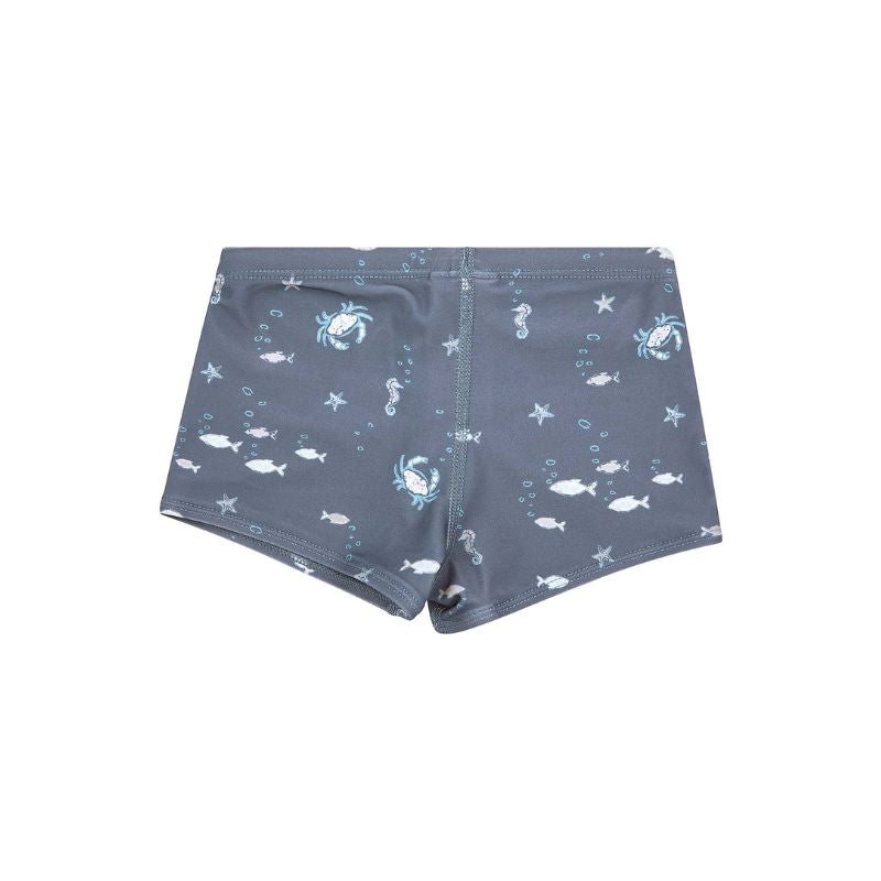 Toshi | Neptune Swim Shorts